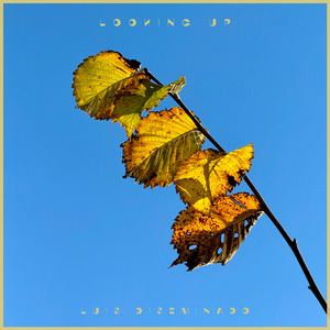 六十路熟女交尾中出毛茸茸
